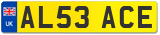 AL53 ACE