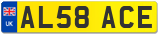 AL58 ACE