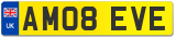 AM08 EVE