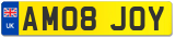 AM08 JOY