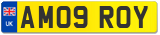 AM09 ROY