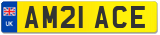 AM21 ACE
