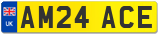 AM24 ACE