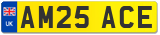 AM25 ACE