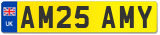 AM25 AMY