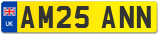 AM25 ANN