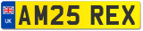 AM25 REX