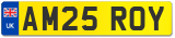 AM25 ROY