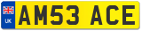 AM53 ACE