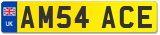 AM54 ACE