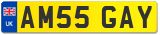 AM55 GAY