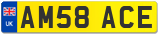 AM58 ACE