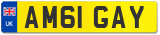 AM61 GAY