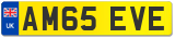 AM65 EVE