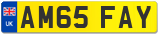 AM65 FAY