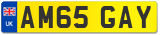 AM65 GAY