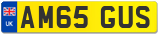 AM65 GUS