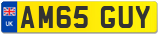 AM65 GUY