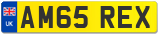 AM65 REX