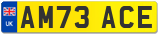 AM73 ACE