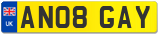 AN08 GAY