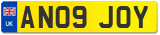 AN09 JOY