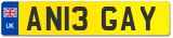 AN13 GAY