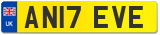 AN17 EVE