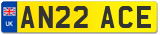 AN22 ACE