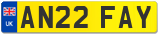 AN22 FAY