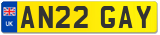 AN22 GAY