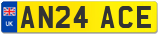 AN24 ACE