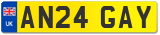 AN24 GAY