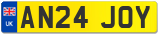 AN24 JOY