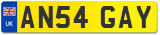 AN54 GAY