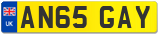 AN65 GAY