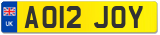 AO12 JOY