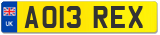 AO13 REX