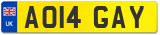 AO14 GAY