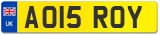 AO15 ROY