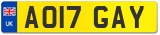 AO17 GAY