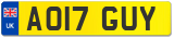 AO17 GUY