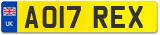 AO17 REX