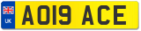 AO19 ACE