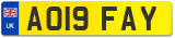 AO19 FAY