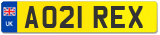 AO21 REX