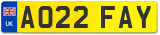 AO22 FAY