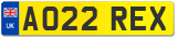 AO22 REX