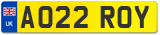 AO22 ROY