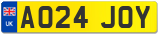 AO24 JOY